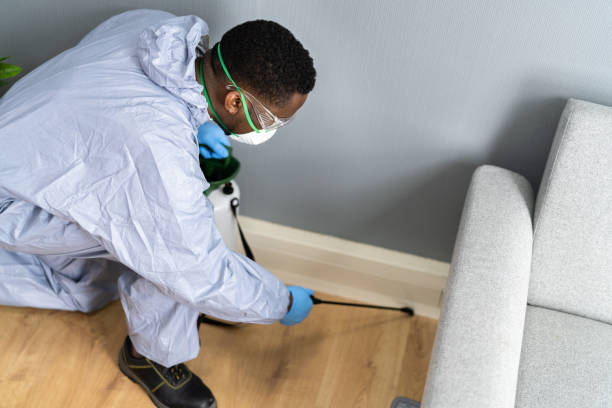 Best Residential Pest Control  in Montebello, NY